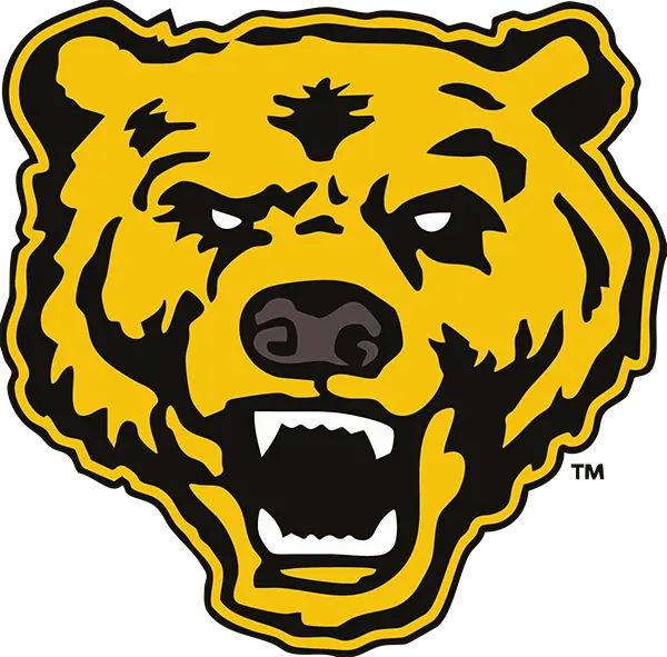 Upper Arlington Bears Football
